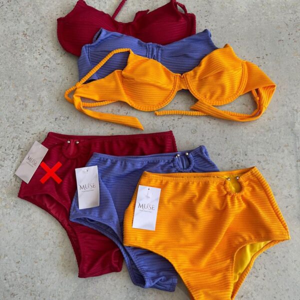 BIQUINI CINTURA ALTA